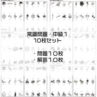 常識問題【中級１】１０枚セット