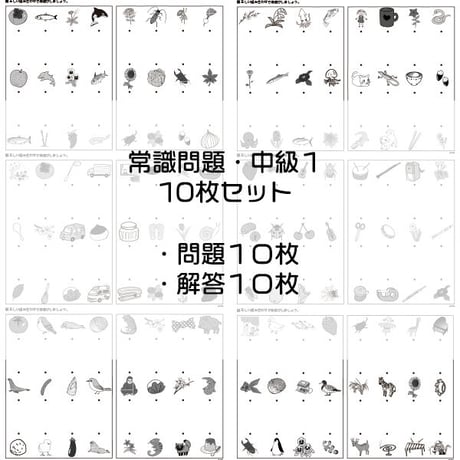 常識問題【中級１】１０枚セット