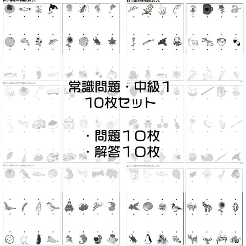 常識問題【中級1】10枚セット | IXSIA SHOP