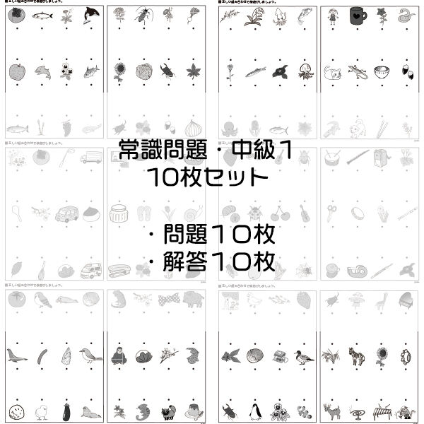 常識問題【中級1】10枚セット | IXSIA SHOP