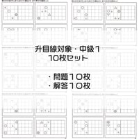 升目線対象【中級１】１０枚セット