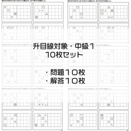 升目線対象【中級１】１０枚セット