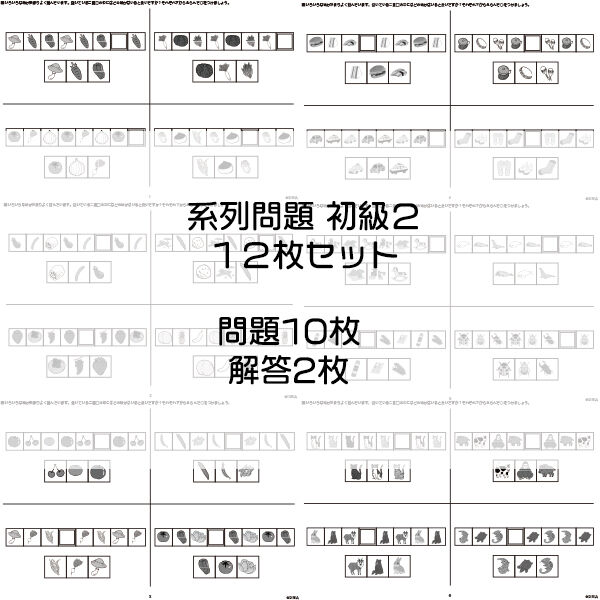 系列問題【初級2】12枚セット | IXSIA SHOP