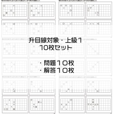升目線対象【上級１】１０枚セット