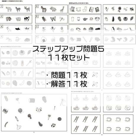 ステップアップ問題５【１１枚セット】