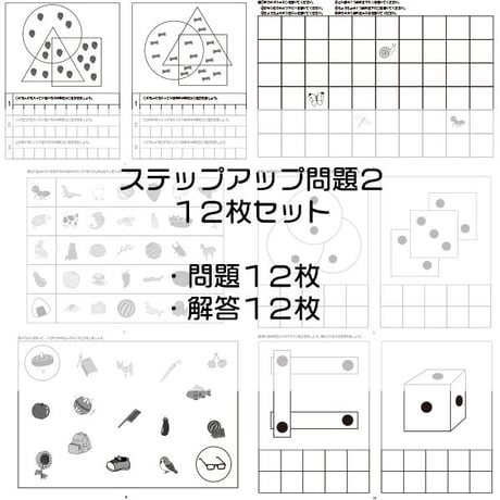 ステップアップ問題２【１２枚セット】