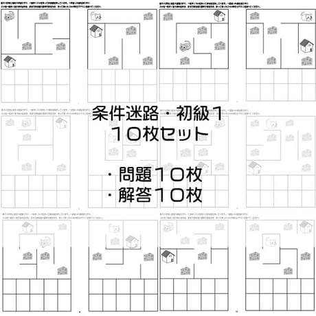 条件迷路【初級１】１０枚セット