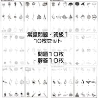 常識問題【初級１】１０枚セット
