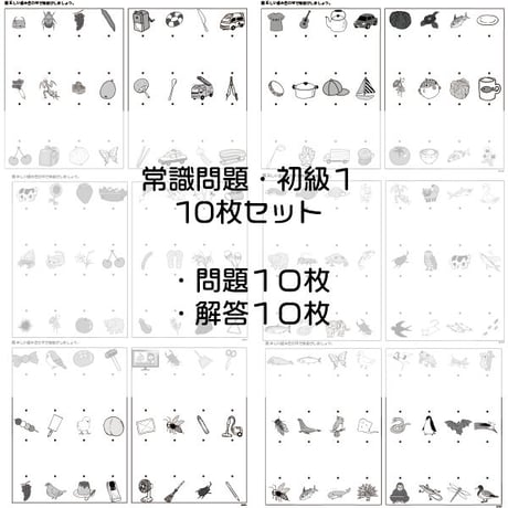 常識問題【初級１】１０枚セット