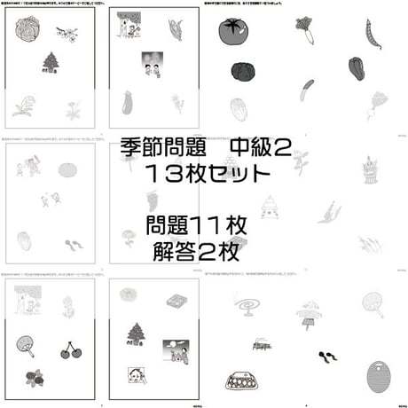 季節問題【中級２】１３枚セット