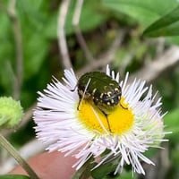 6月7日✴︎コドモの教室✴︎ 『eatrip seed club - お絵かき工作教室 - 鎌倉お出かけ編』