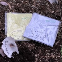 soil / PPTV