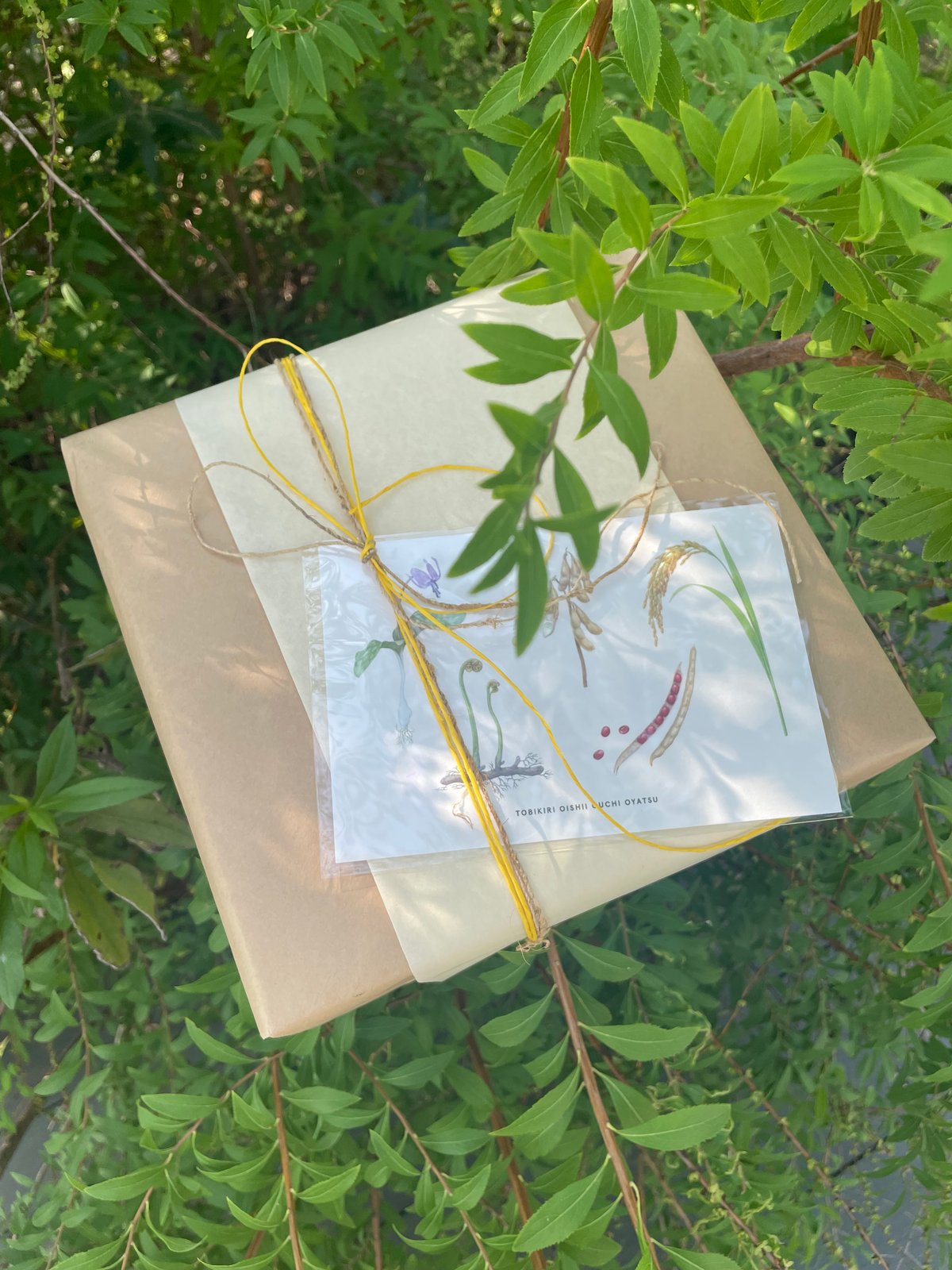 7月のおいしいBOX ”HOTなNUTと調味料のSET” | eatrip soil