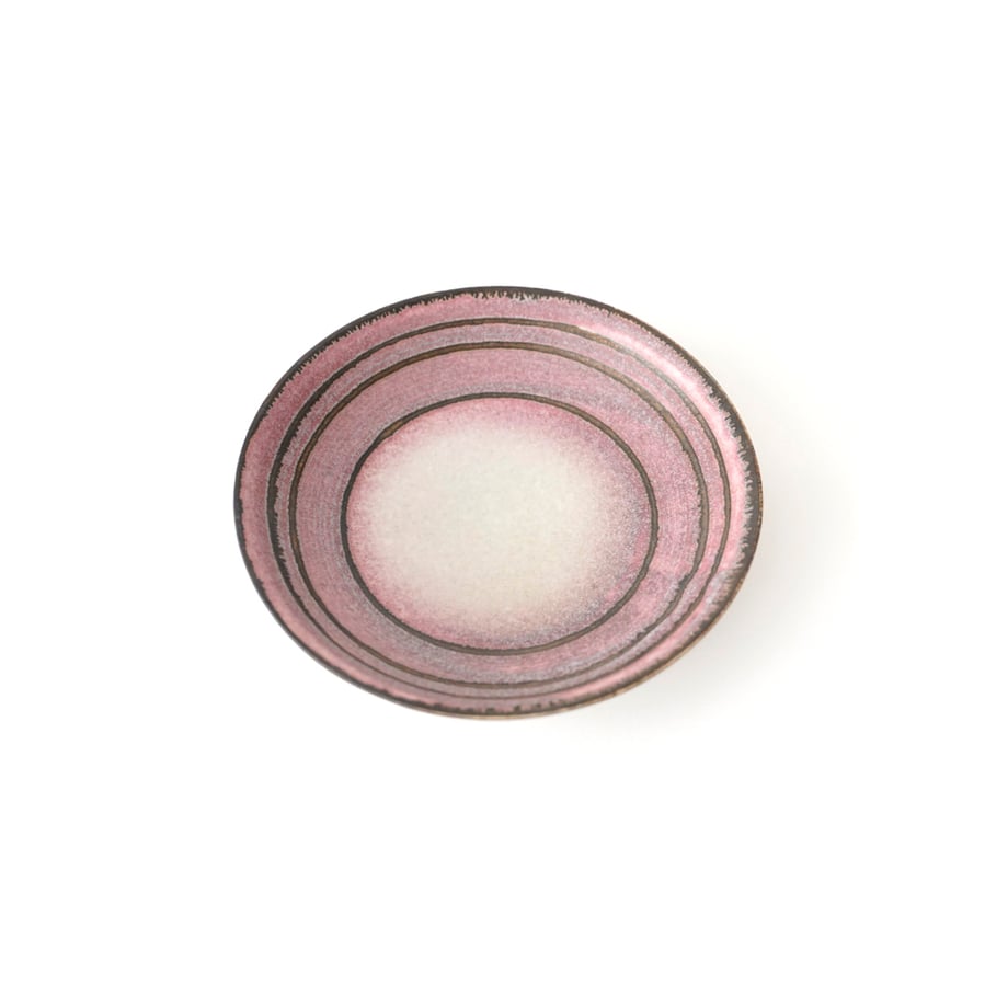 667f96bea1a486230d545839