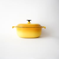 ビンテージ・ル・クルーゼ / グラデーションイエロー・25cm（オーバル）