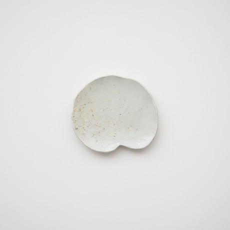 森岡由利子・葉皿  / 8