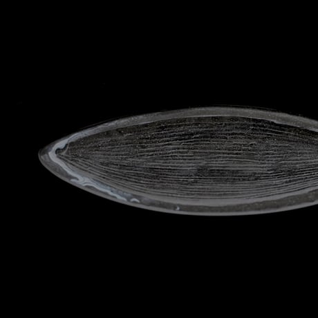 湊佳菜子・種実のうつわ M / クリア B