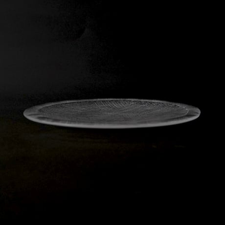 湊佳菜子・種実のうつわ L / クリア