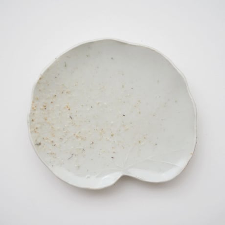 森岡由利子・葉皿  / 8