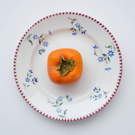 CATEGORY お皿 / Plates | 黄魚オンラインショップ