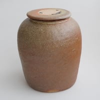 壷田亜矢 / 壷④