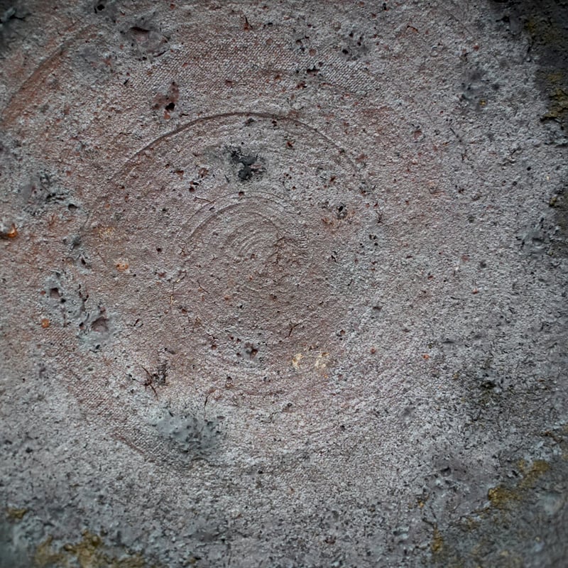 森岡成好・鉢① | 黄魚オンラインショップ