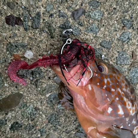 ハタ喰い・鵺（ウォーターチャート）3.5inch,4.2inch,5.0inch