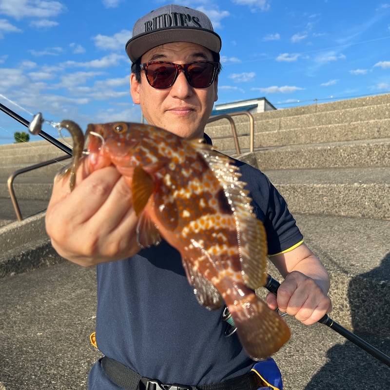 RUDIE'S サングラス（スモークブラック） | RUDIE'S WEB SHOP