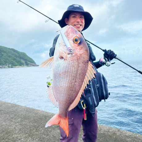 魚極ペン（アカキンエビ）