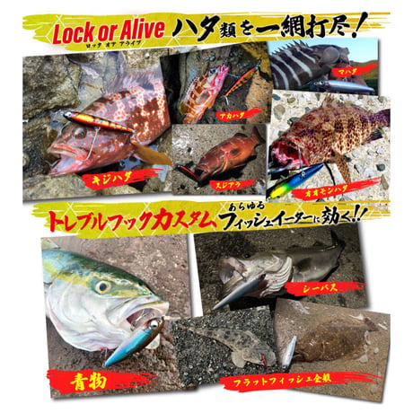 魚極ペン（シースルーチャートR）
