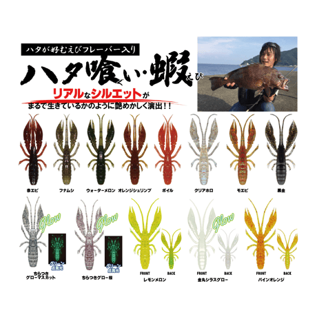 ハタ喰い・蝦（クリアホロ）