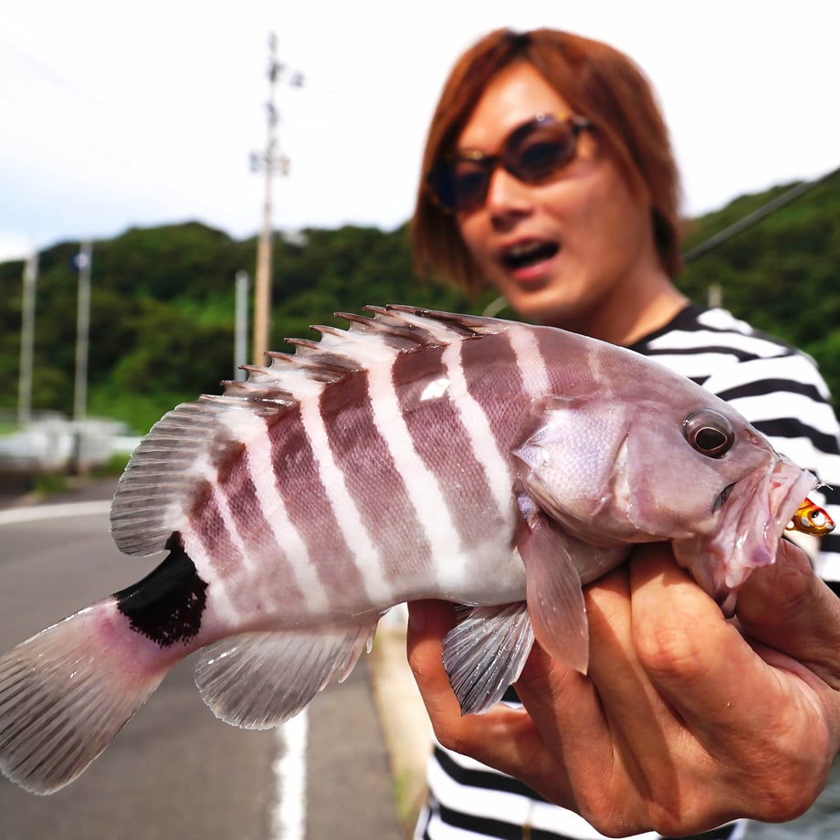 651a7cea646cf100316f3d73