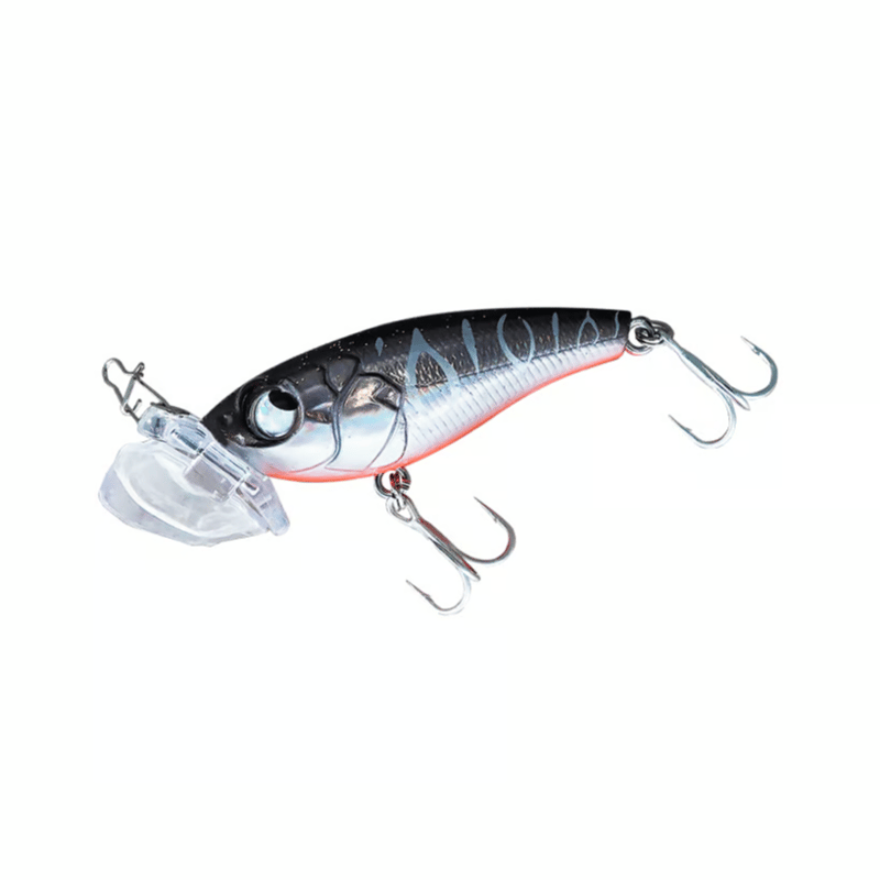 公式WEB限定】BugBugチヌ（黒鯛SPリミテッド） | RUDIE'S