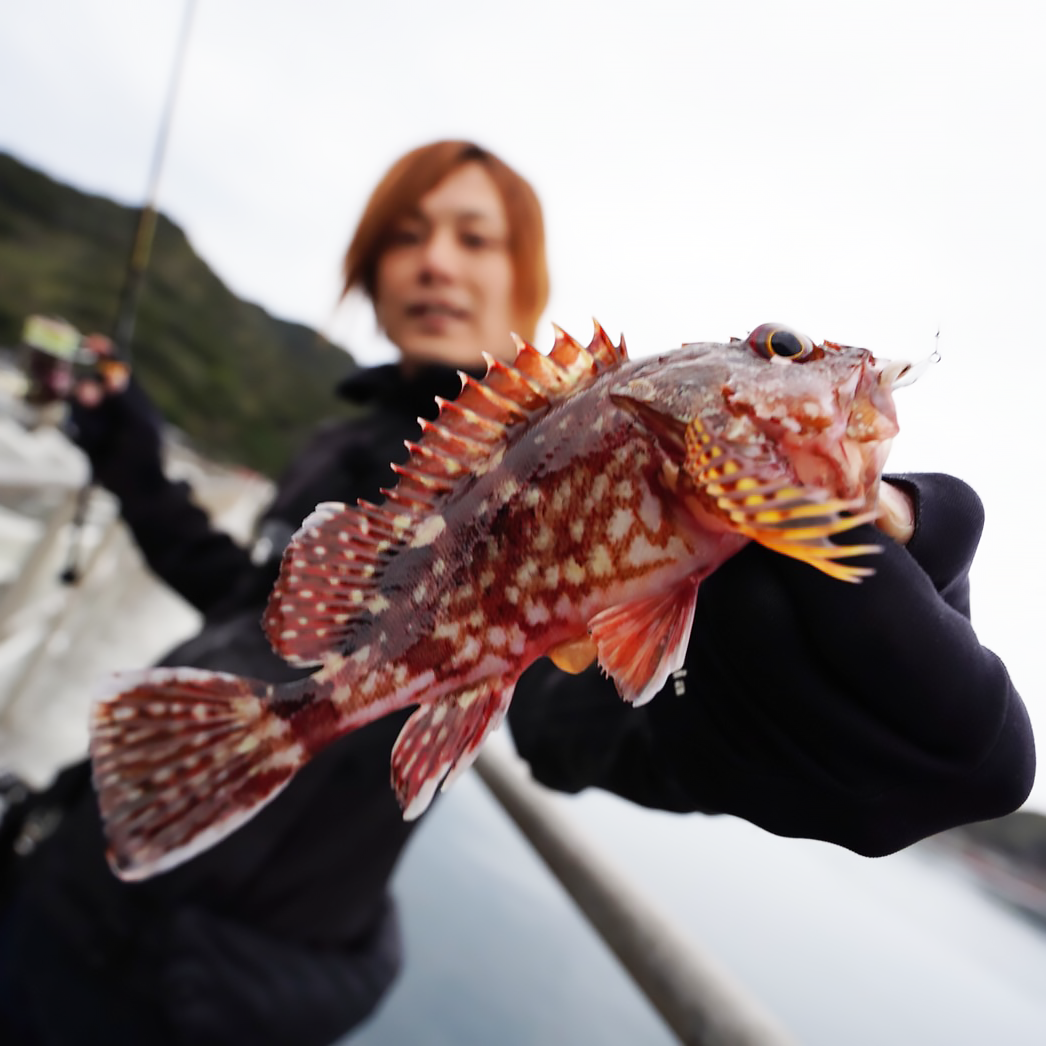 RUDIE'S魚子ラバ、魚子メタル、ひらりまとめ売り 魚子メタル～ひらり～ | RUDIE'S （ルーディーズ）