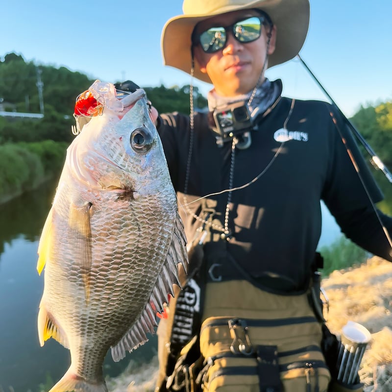 BugBugチヌ（ドリームアメジスト） | RUDIE'S WEB SHOP