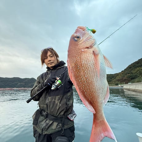 魚子ラバ（どチャート）
