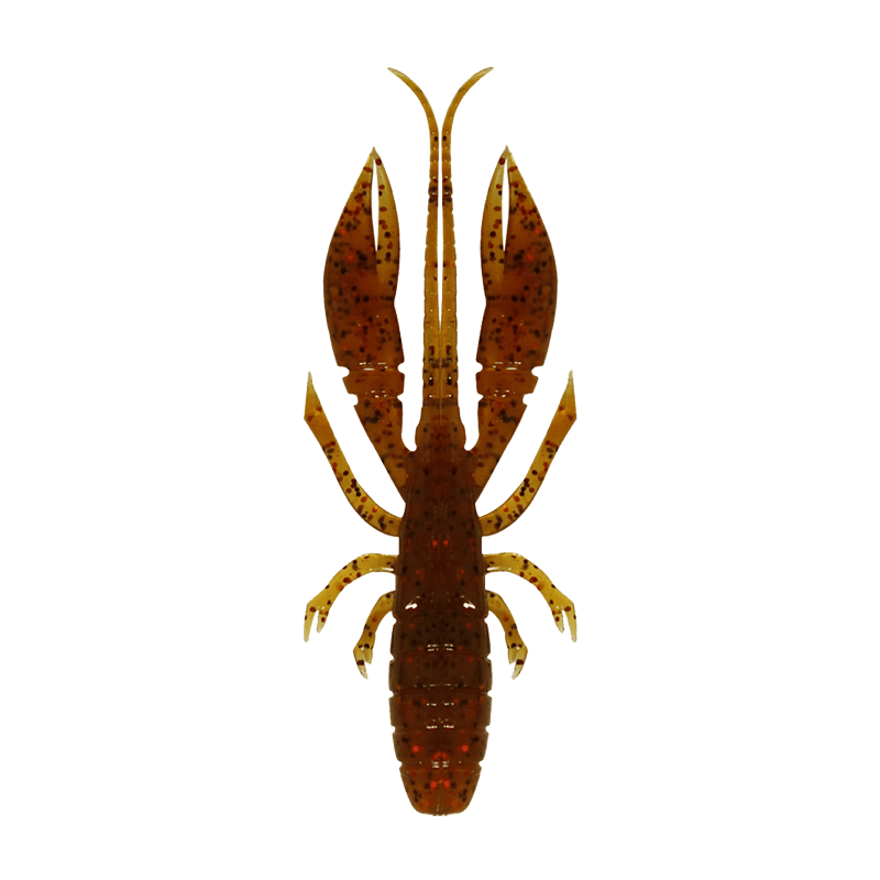 ハタ喰い・蝦（オレンジシュリンプ） | RUDIE'S WEB SHOP