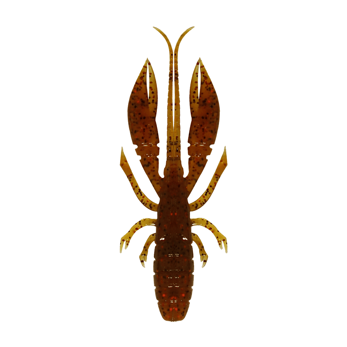 ハタ喰い・蝦（オレンジシュリンプ） | RUDIE'S WEB SHOP