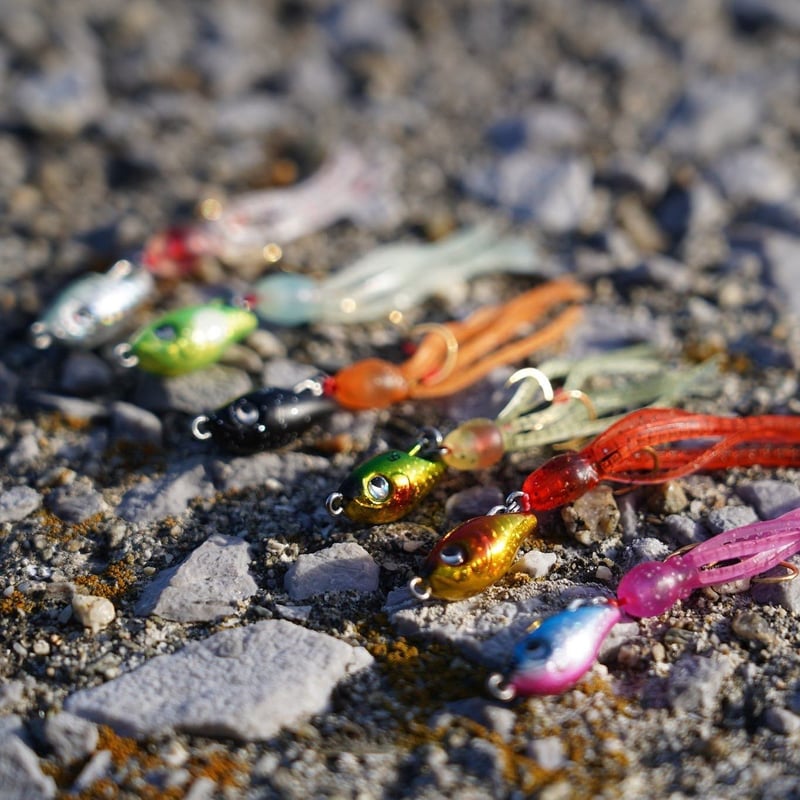 るち子 魚子チク（ブルピン） | RUDIE'S WEB SHOP