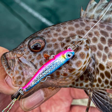 魚子メタル貫き（ヘッドベリーグロー）