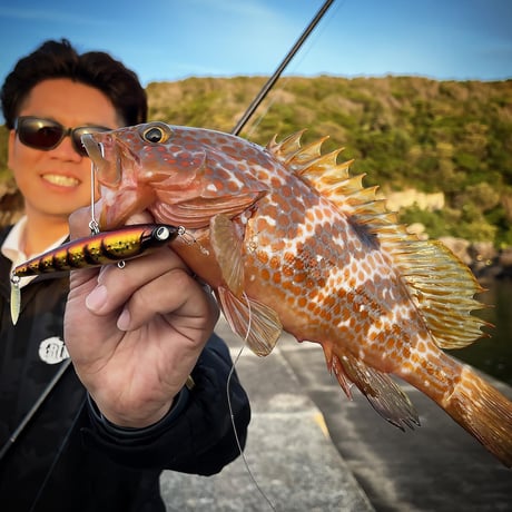 魚極ペン（アカキンエビ）