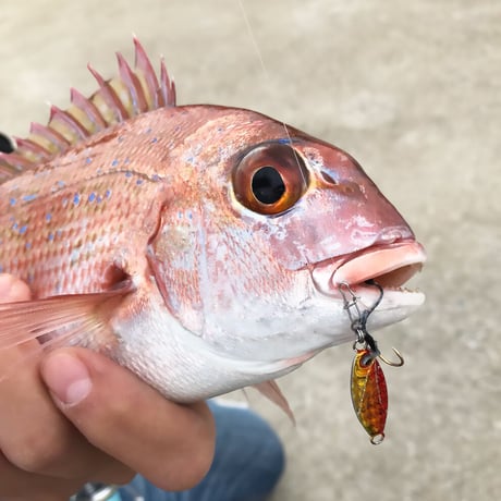 魚子メタル（キンアジゴ）0.6g,0.8g,1.0g,1.5g,2.0g,3.0g