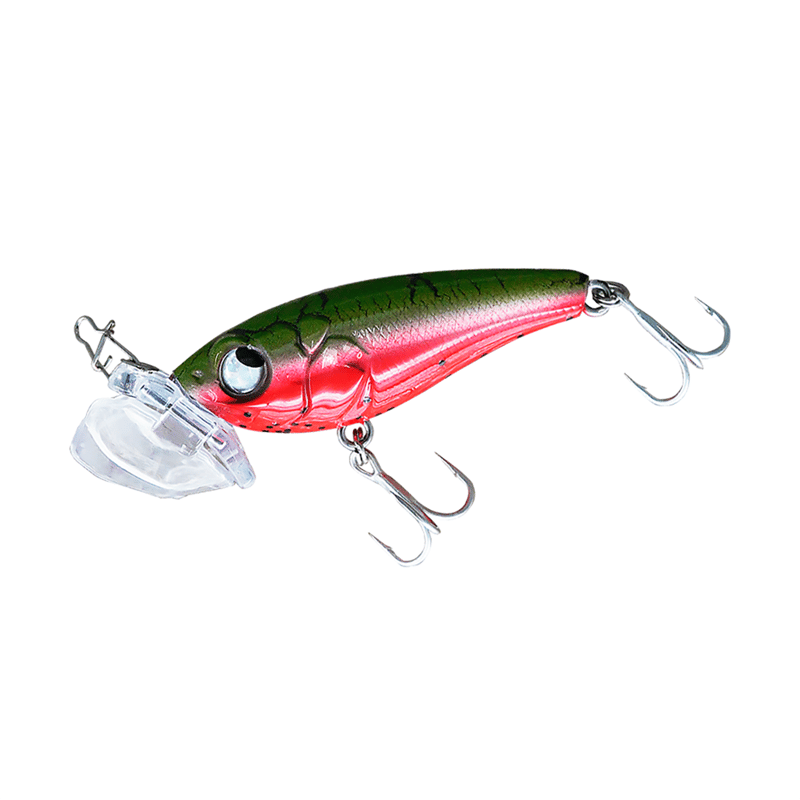 BugBugチヌ（サマースイカ） | RUDIE'S WEB SHOP