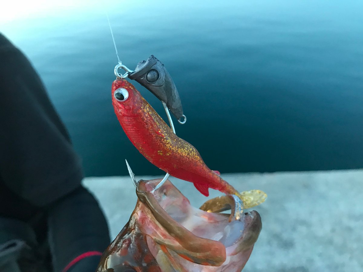 根魚狩りJ・H（5g,7g,10g,15g,20g,25g,30g,35g） | RUDIE'