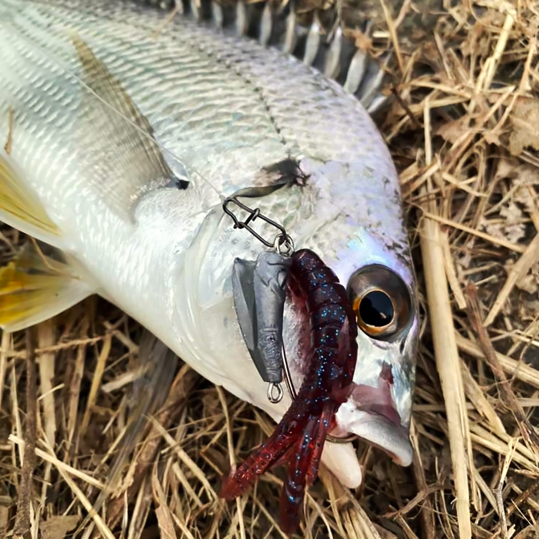 根魚狩人 根魚狩りJ・H（ネギョガリジグヘッド） | RUDIE'S （ルーディーズ）