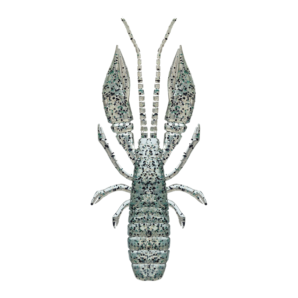 ハタ喰い・蝦（ちらつきグローマスカット） | RUDIE'S