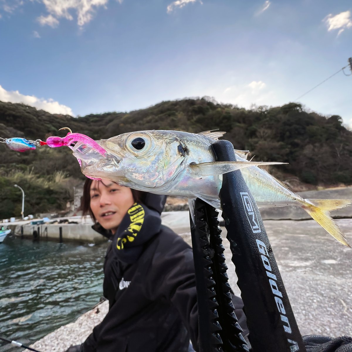 魚子チク（チャートスポットグロー） | RUDIE'S WEB SHOP