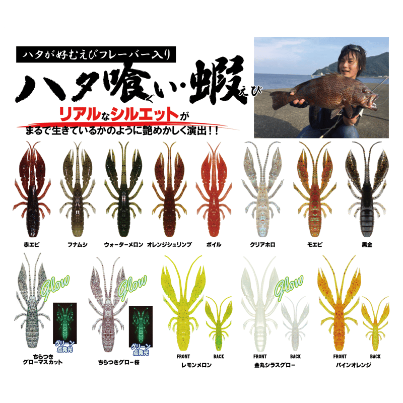 ハタ喰い・蝦（オレンジシュリンプ） | RUDIE'S WEB SHOP