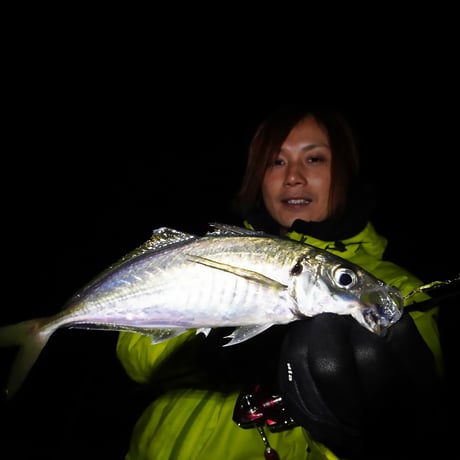 魚子メタル～ひらり～（アカキンラメ）