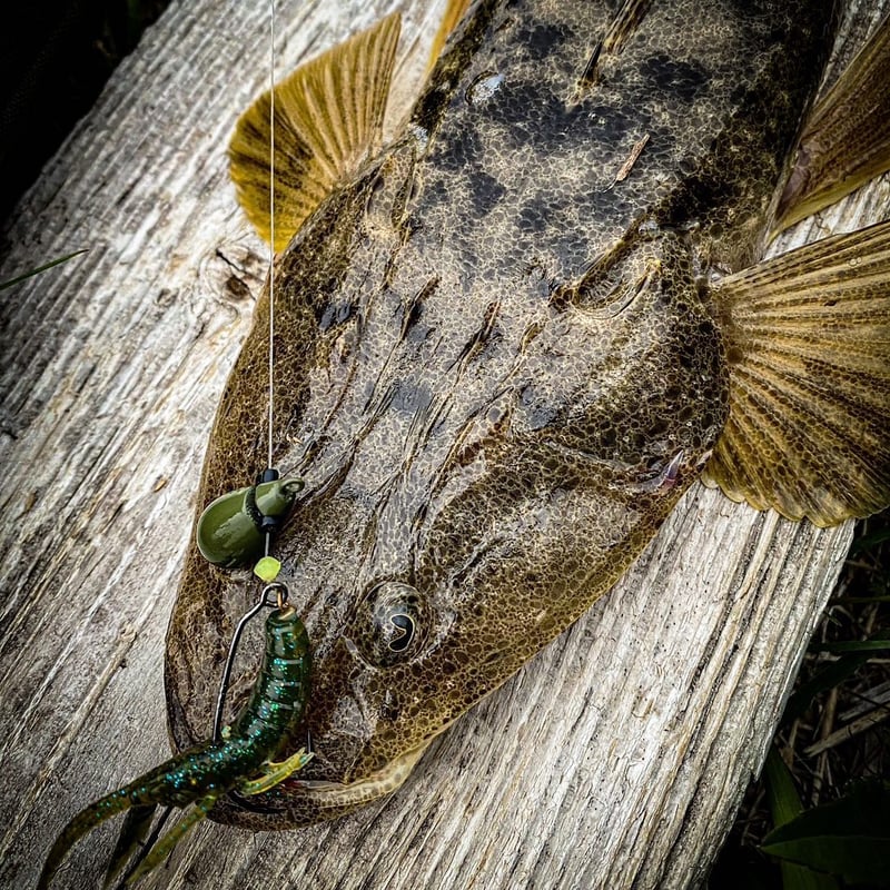 ロックゲームシンカーアソートパック(20,25,30g) | RUDIE'S